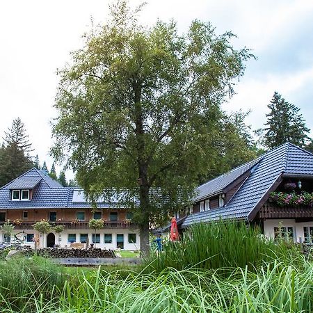 Kuckucksnester Menzenschwand Leilighet Eksteriør bilde